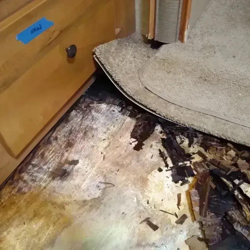 Best Wood Floor Water Damage Service in Daytona Beach, FL